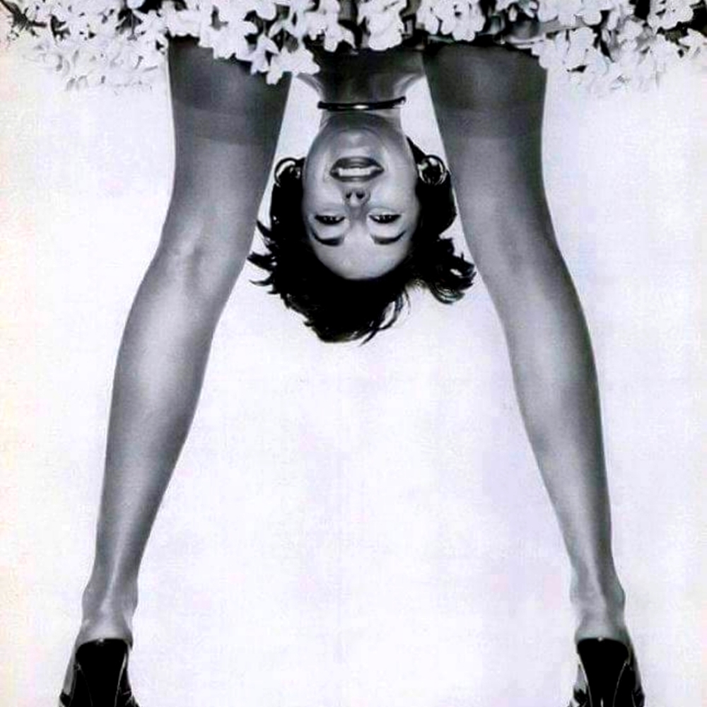 Meet your Posher, Susan